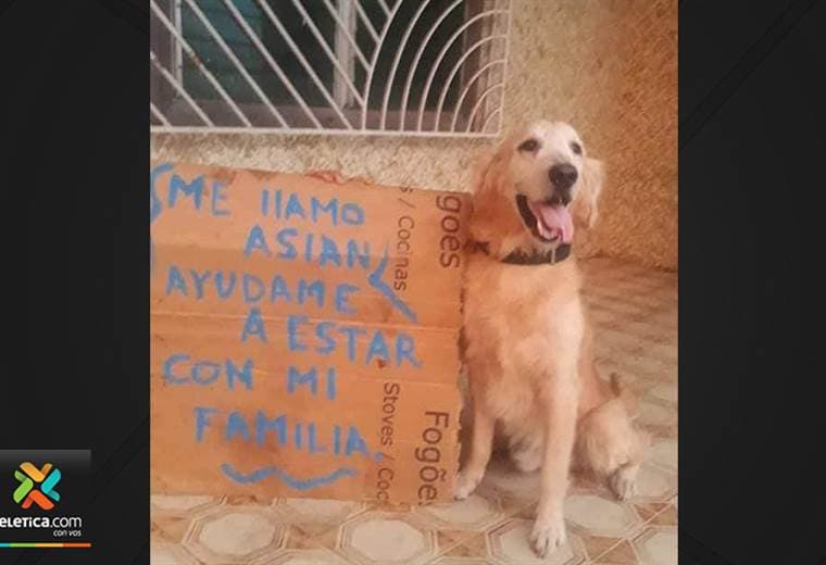 Familia venezolana vende repostería para poder traer a su perrito que quedó solo en Venezuela