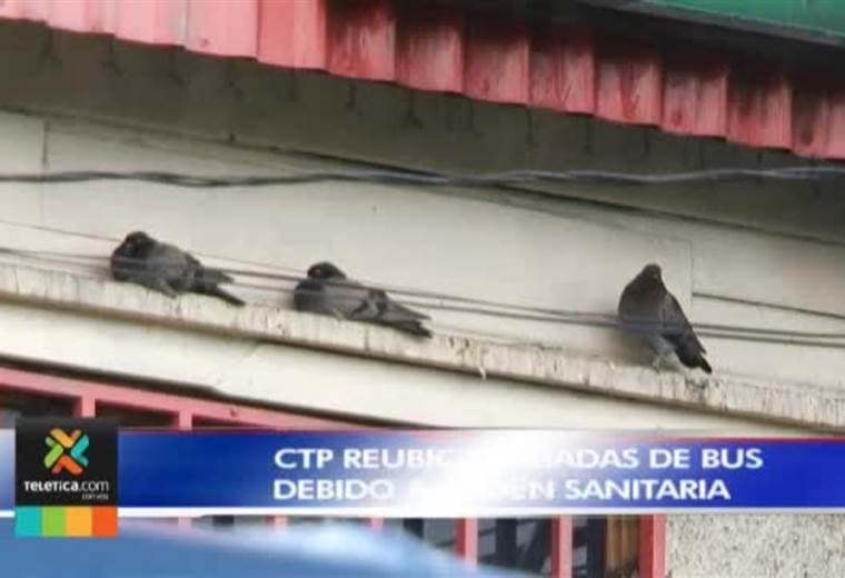 CTP apelará orden sanitaria que obligó a reubicar paradas de bus que estaban en parque de Guadalupe
