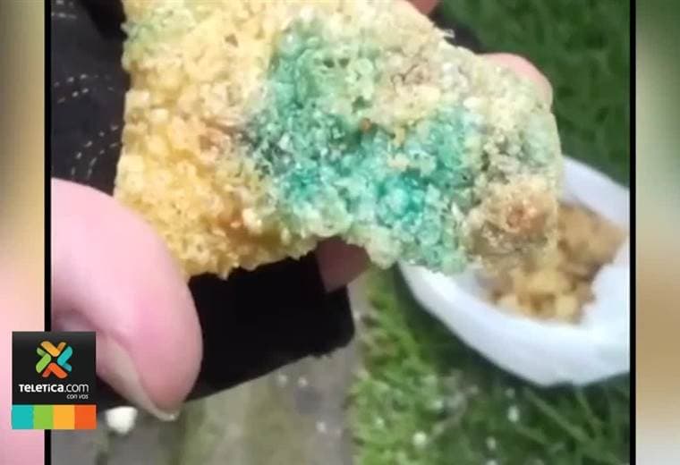 Policía Municipal decomisó alimentos en mal estado que se vendían al aire libre en San José