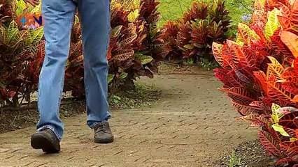 Finca carbono neutral