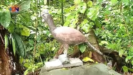 ¿Un zoológico con animales de concreto? Vecino de Tilarán se propone crearlo