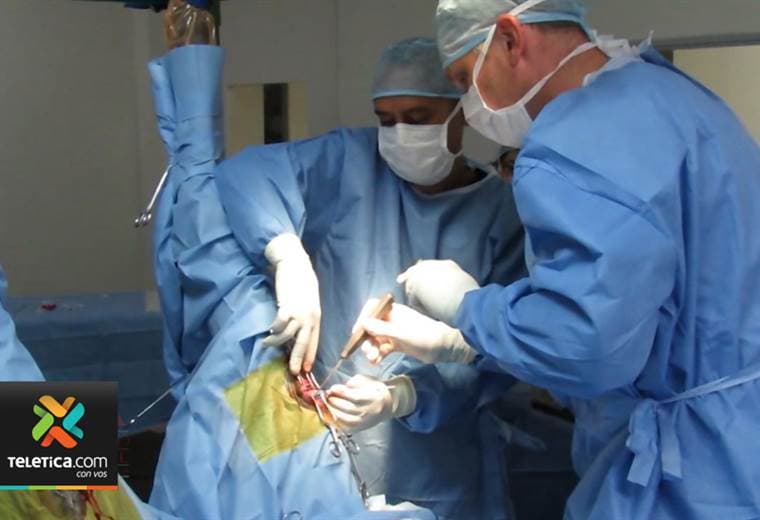 Especialistas realizan investigaciones en caballos para regenerar cartílago de rodilla