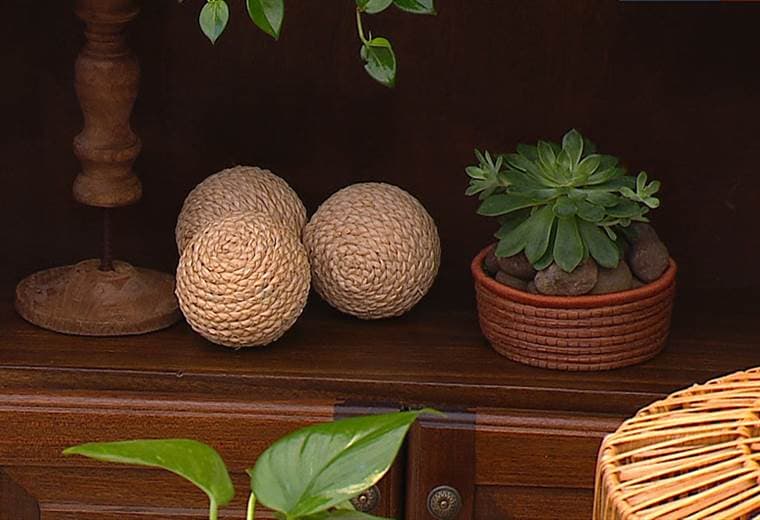 Aprenda a decorar la pared de su casa con flores y plantas con los siguientes consejos