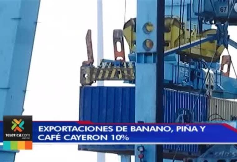 Exportaciones de banano, piña y café cayeron 10% durante los primeros seis meses del año