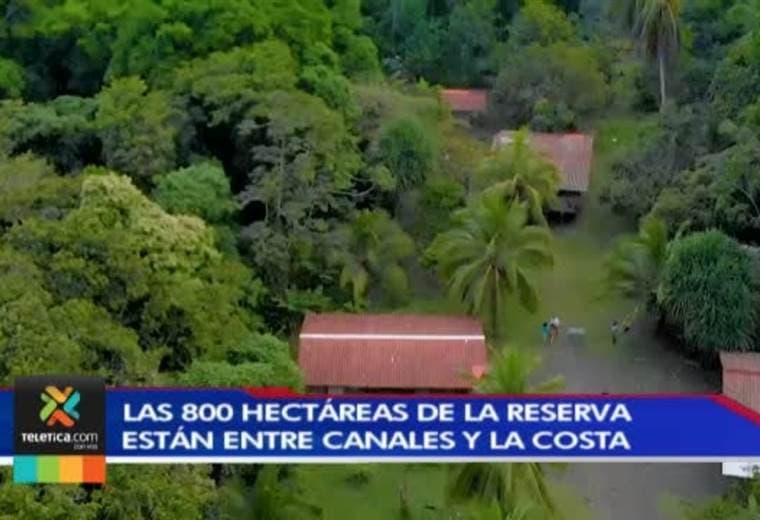 Reserva Pacuare se convierte en un refugio para más de 2.500 especies de animales