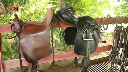 Milton Arguedas criador de caballos en Garabito