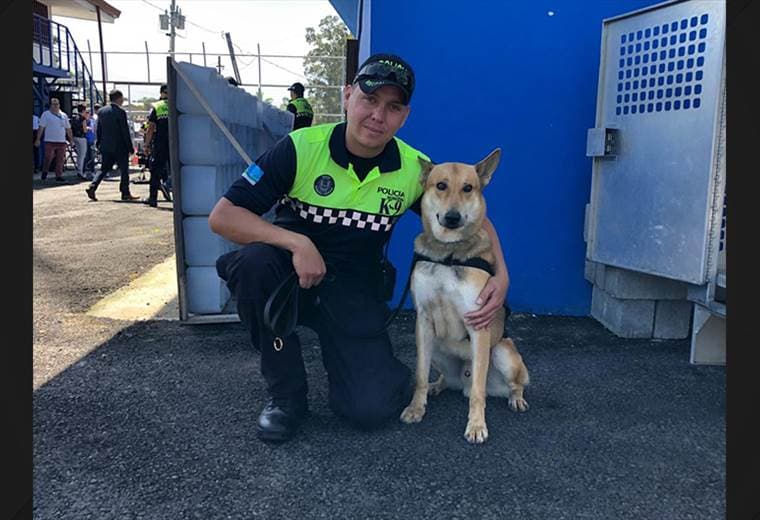 Dos perros se jubilaron de sus labores como policías en San José