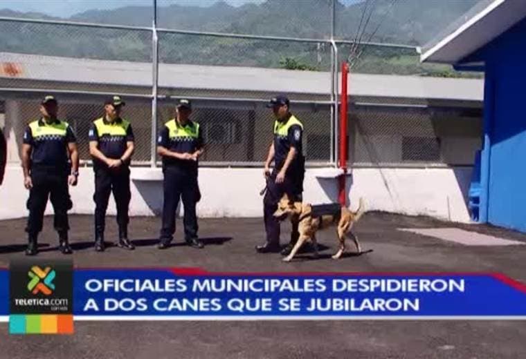 Dos perros se jubilaron de sus labores como policías en San José