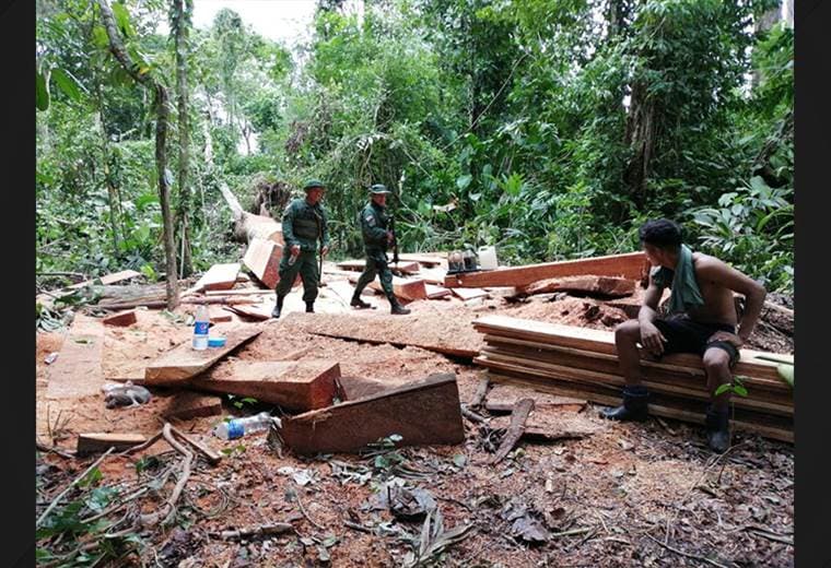 Autoridades desmantelan aserradero ilegal en Refugio Gandoca Manzanillo