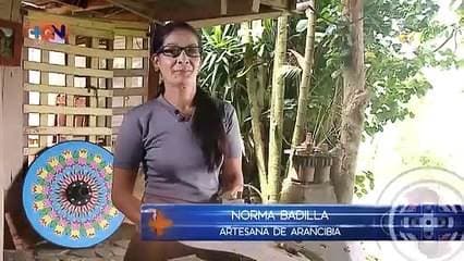 Conozca la primera mujer artesana de Arancibia