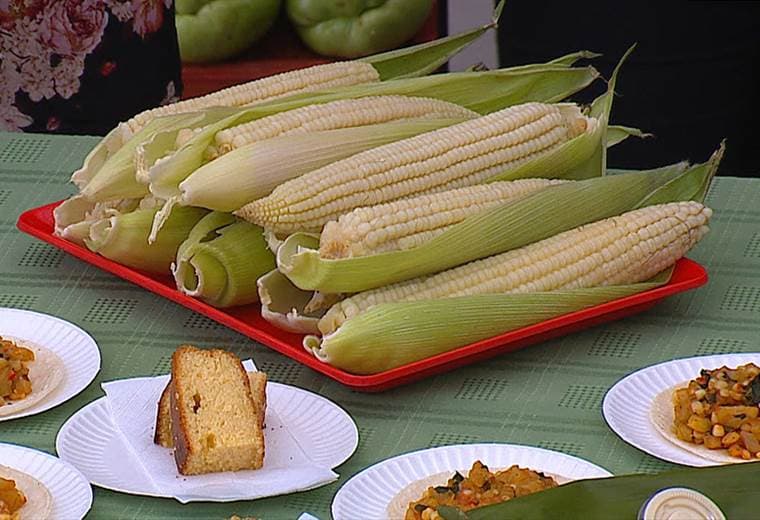 Aproveche los beneficios del maíz