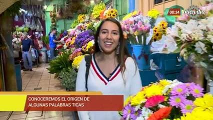 Conoceremos el origen de algunas palabras ticas