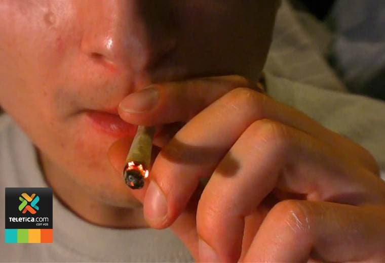 Diputado propone ley que prohibiría el humo de la marihuana en espacios públicos y privados