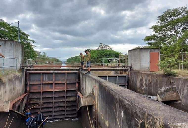 Cortesía prensa OIJ