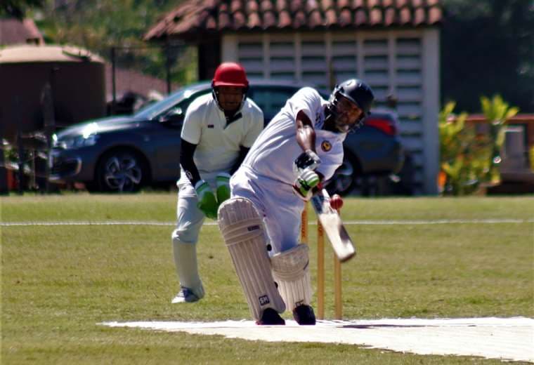 foto de cricket