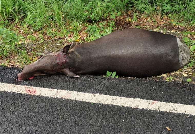 Fotografías: Julio Diaz Orias