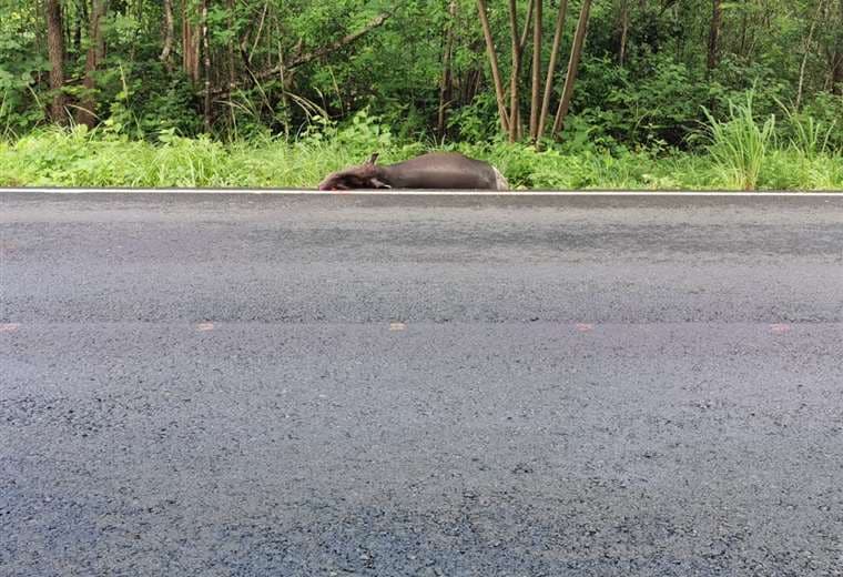 Fotografías: Julio Diaz Orias
