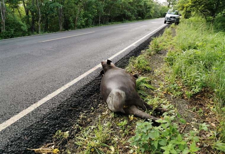 Fotografías: Julio Diaz Orias