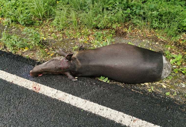 Fotografías: Julio Diaz Orias