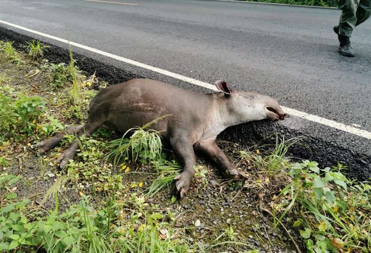 Fotografías: Julio Diaz Orias