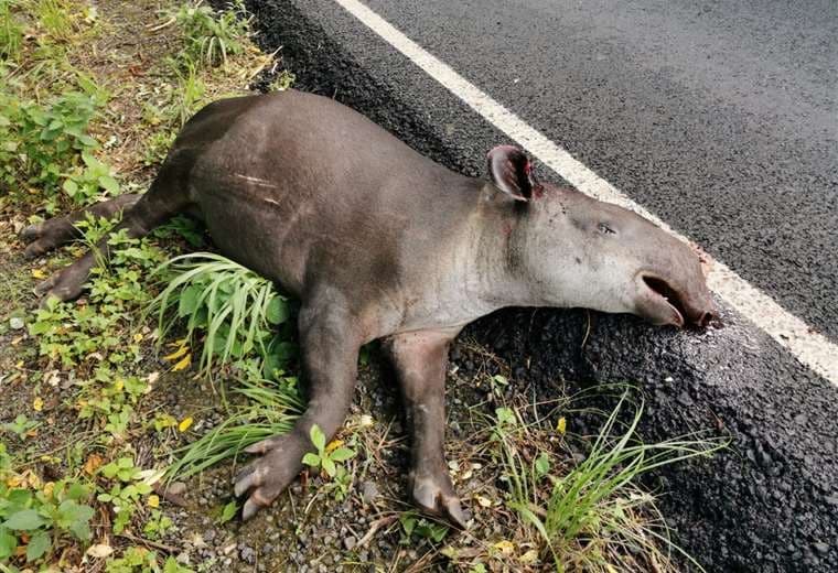 Fotografías: Julio Diaz Orias