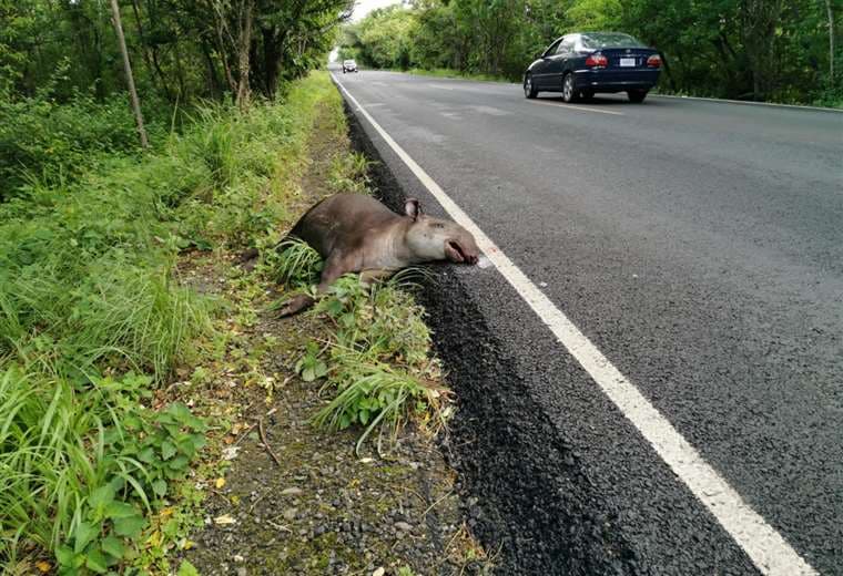 Fotografías: Julio Diaz Orias