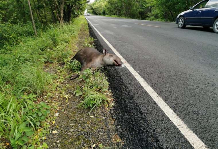 Fotografías: Julio Diaz Orias