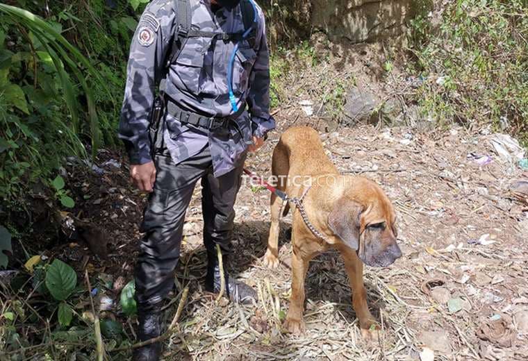 Foto Christian Montero