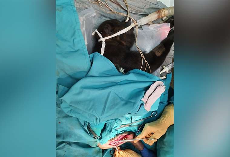 Fotos cortesía de Mauricio Jimenez