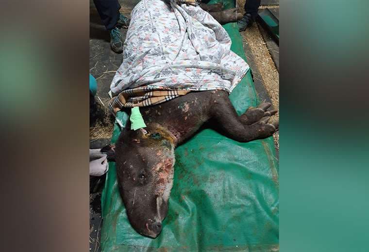 Fotos cortesía de Mauricio Jimenez