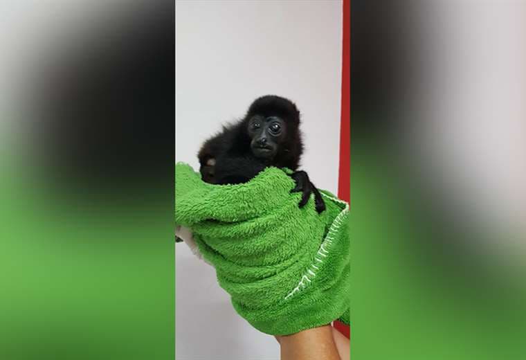 Fotos cortesía de Mauricio Jimenez