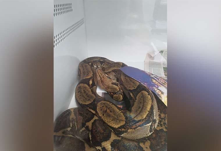 Fotos cortesía de Mauricio Jimenez