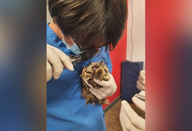 Fotos cortesía de Mauricio Jimenez