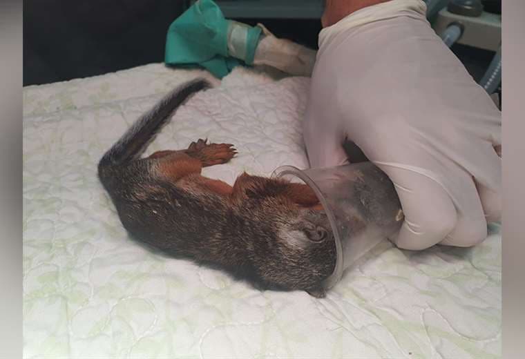 Fotos cortesía de Mauricio Jimenez