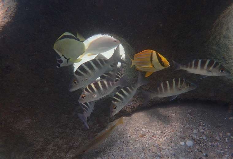 Fotos tomadas de Punta Leona Sostenible