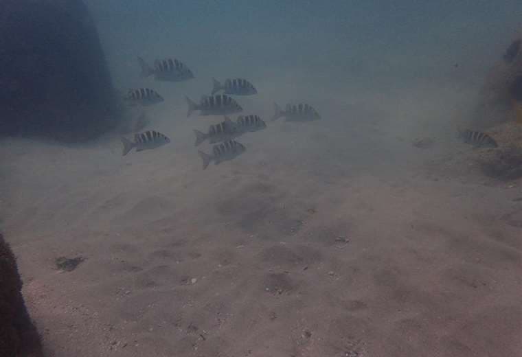 Fotos tomadas de Punta Leona Sostenible