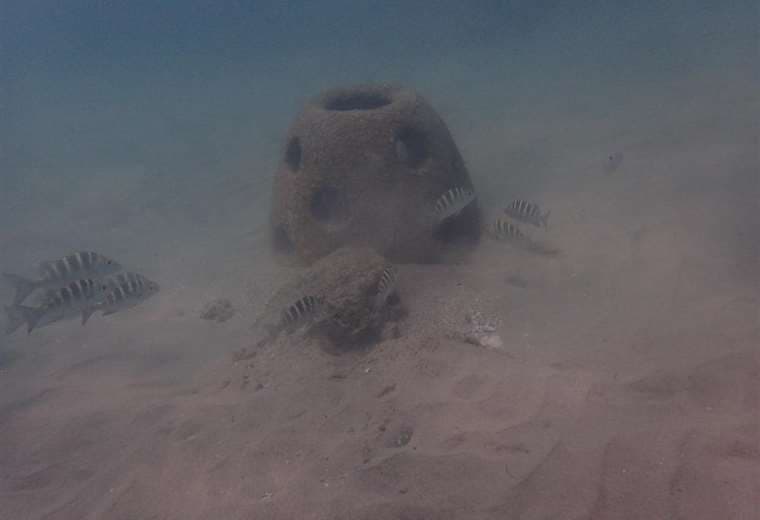 Fotos tomadas de Punta Leona Sostenible