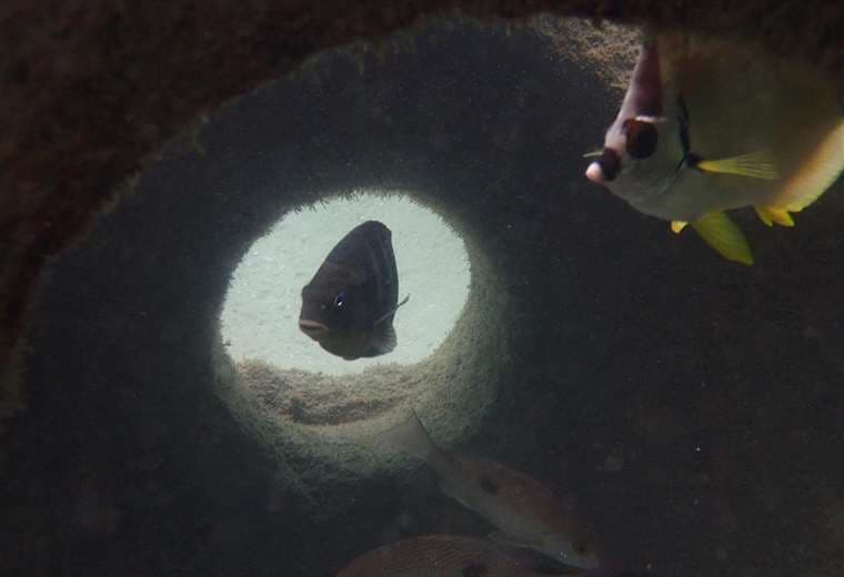 Fotos tomadas de Punta Leona Sostenible