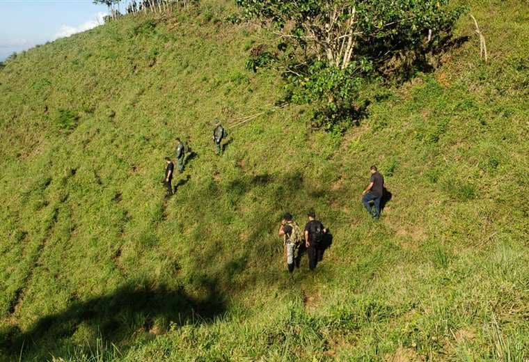 Cortesía prensa OIJ