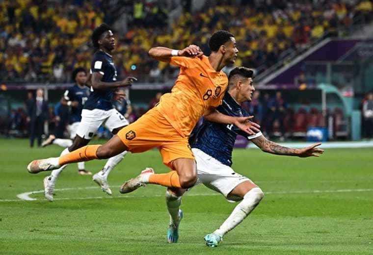 Países Bajos-Ecuador. AFP