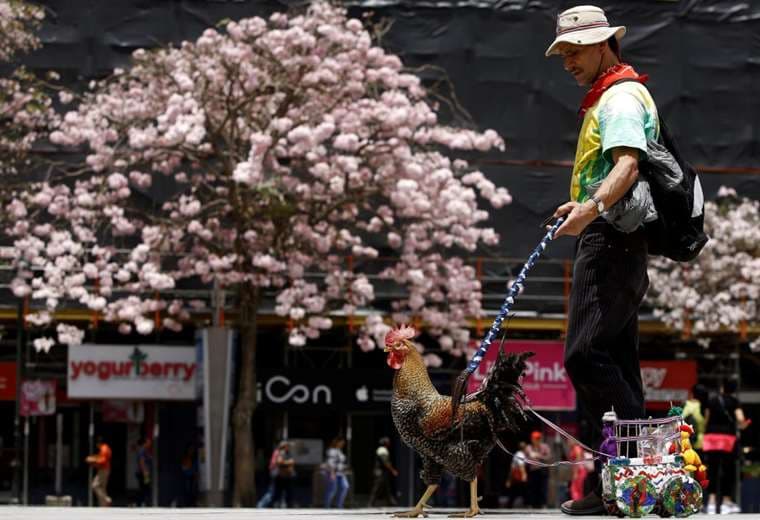 Créditos: Juan Carlos Ulate de Reuters