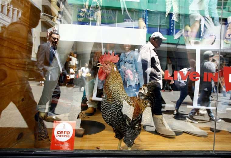 Créditos: Juan Carlos Ulate de Reuters