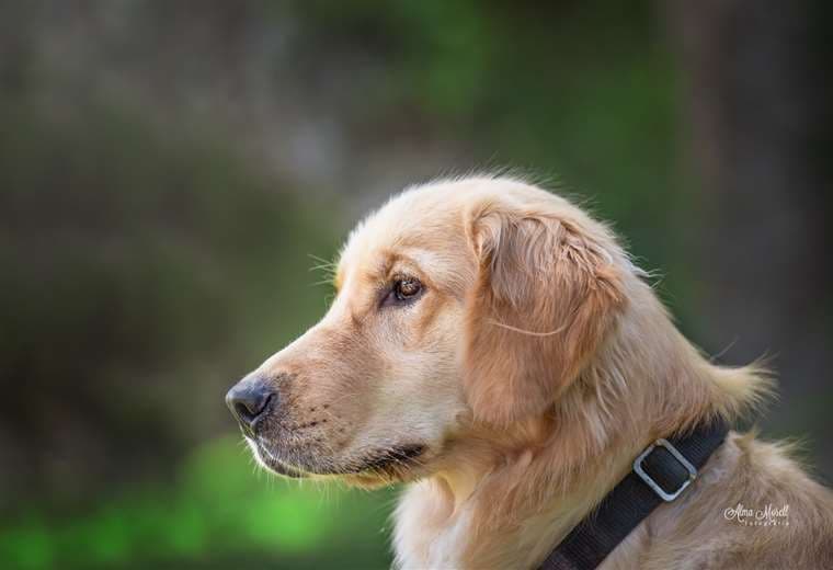 Fotografías Alma Morell