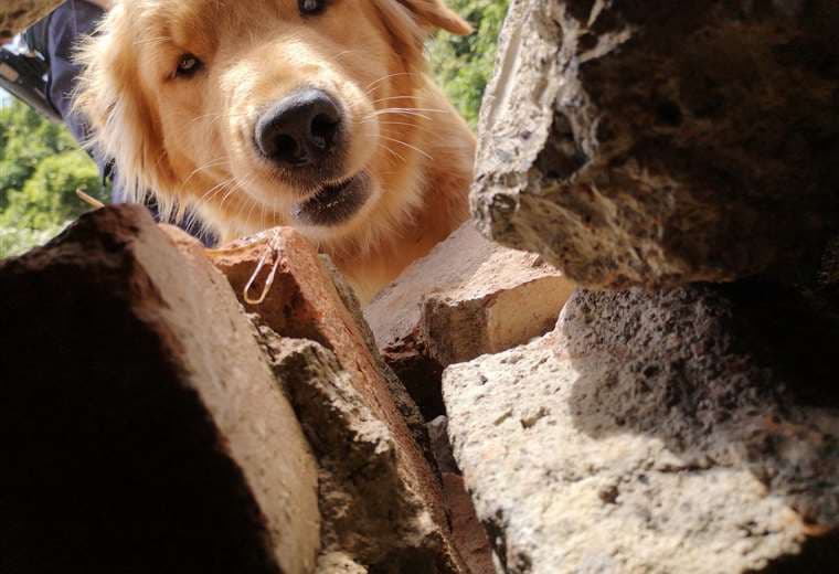 Fotografías Alma Morell