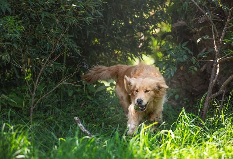 Fotografías Alma Morell