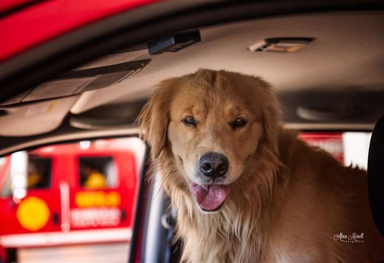 Fotografías Alma Morell