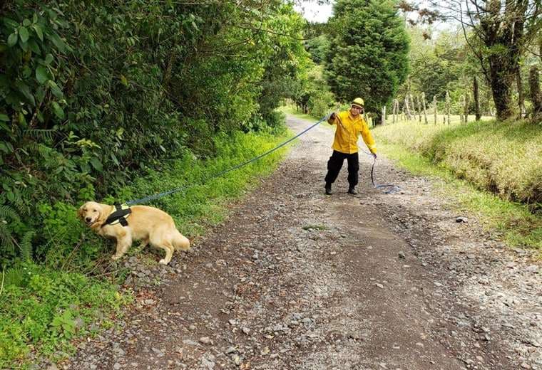 Fotografías Alma Morell