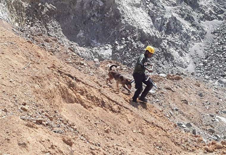 Fotografías Alma Morell