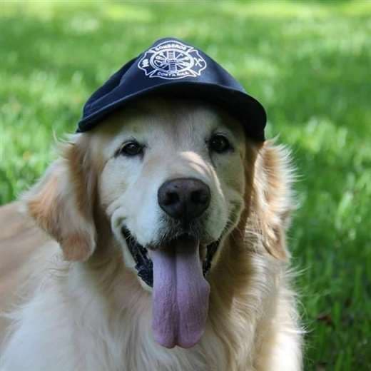 Fotografías Alma Morell