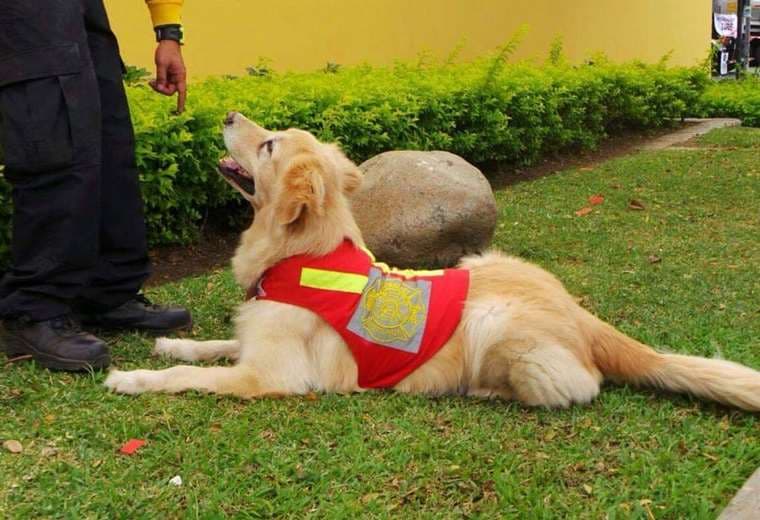 Fotografías Alma Morell